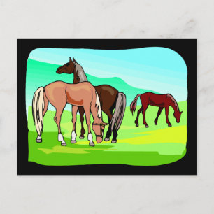 Wild Horses Eating Grass Field Pasture Mountains Postcard