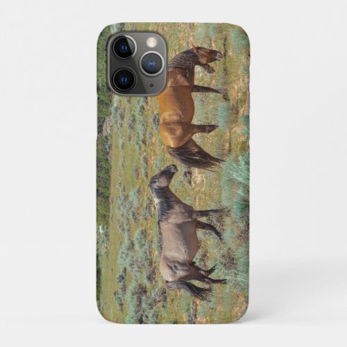 Wild horses grazing iPhone 11 pro case