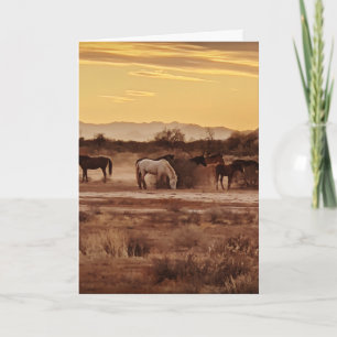 Wild Horses Greeting Card – Arizona Sunset Horse