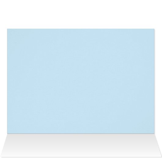 Wild horses in Ireland (Inside Horizontal (Top))