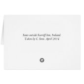 Wild horses in Ireland Cards (Back Horizontal)