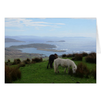 Wild horses in Ireland Cards