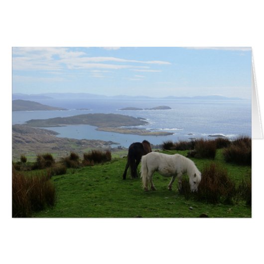 Wild horses in Ireland Cards (Front Horizontal)