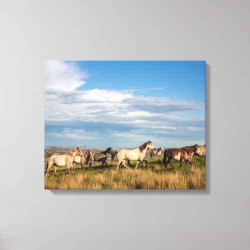 Wild Horses in Theodore Roosevelt National Park Canvas Print
