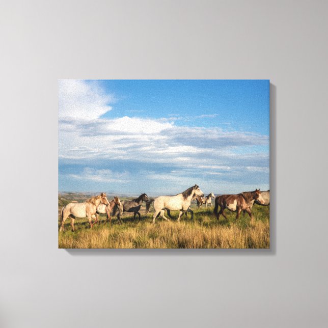 Wild Horses in Theodore Roosevelt National Park Canvas Print (Front)