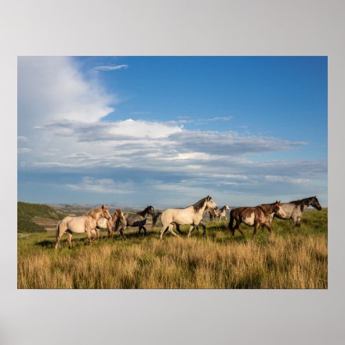Wild Horses in Theodore Roosevelt National Park Poster