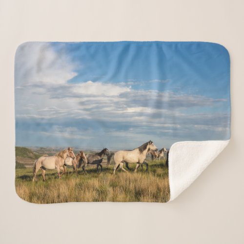 Wild Horses in Theodore Roosevelt National Park Sherpa Blanket