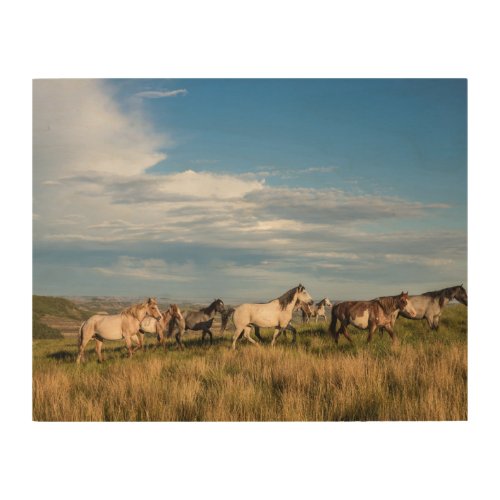 Wild Horses in Theodore Roosevelt National Park Wood Wall Art