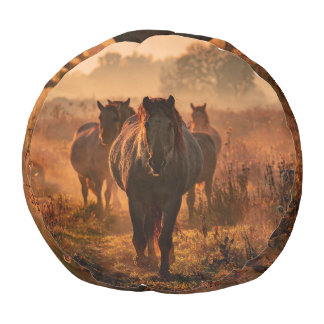 Wild Horses: Intense Gaze Encounter Pouf