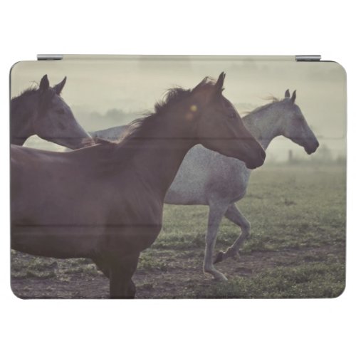 Wild horses iPad air cover