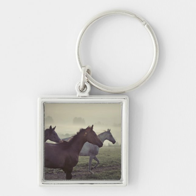 Wild horses keychain (Front)