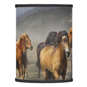 Wild West Cowboy Print Window Panels | Set of 2 | Sweet Jojo Designs Wild West Cowboy Print Window Panels | Set of 2 | Sweet Jojo Designs