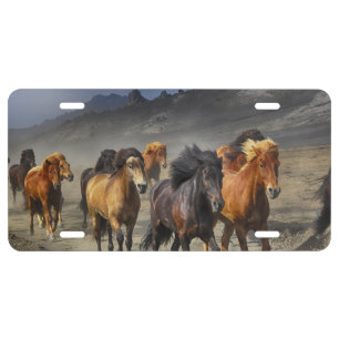 Wild Horses License Plate
