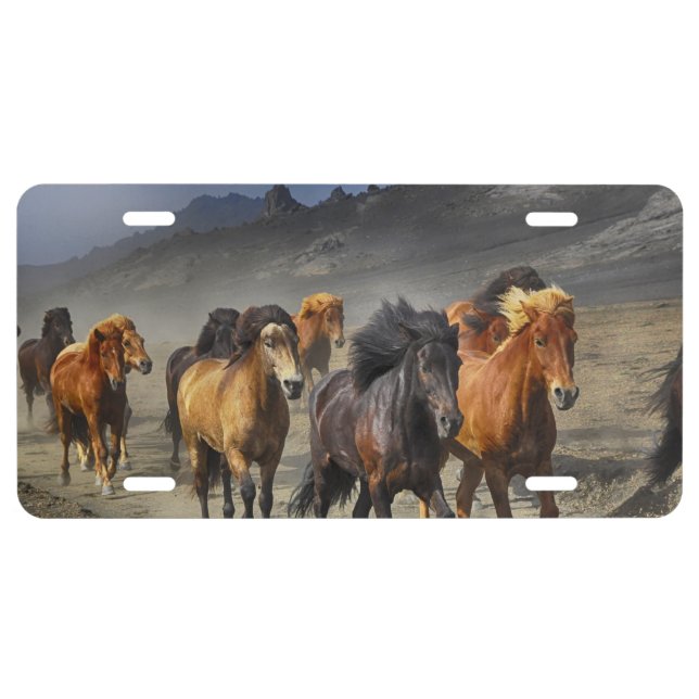 Wild Horses License Plate (Front)