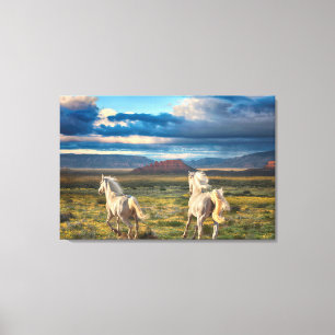 WILD HORSES “Live to Run” Canvas Print