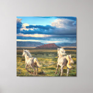 WILD HORSES “Live to Run” Canvas Print