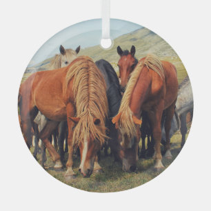 Wild Horses Livno Nature Scene Glass Ornament