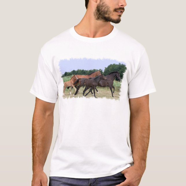 Wild Horses Men's T-Shirt (Front)