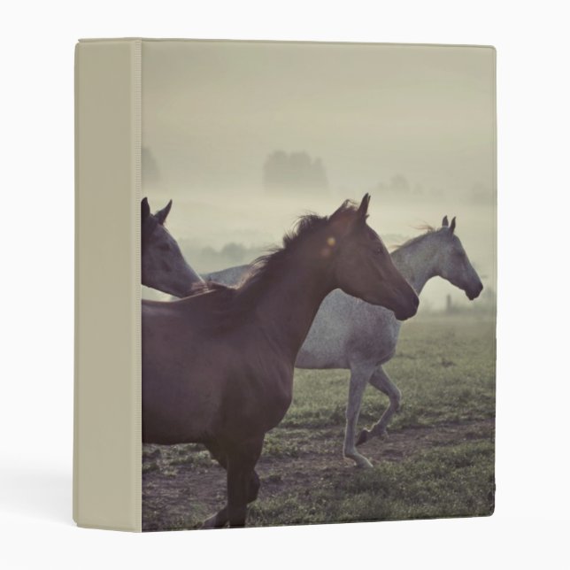 Wild horses mini binder (Front/Spine)