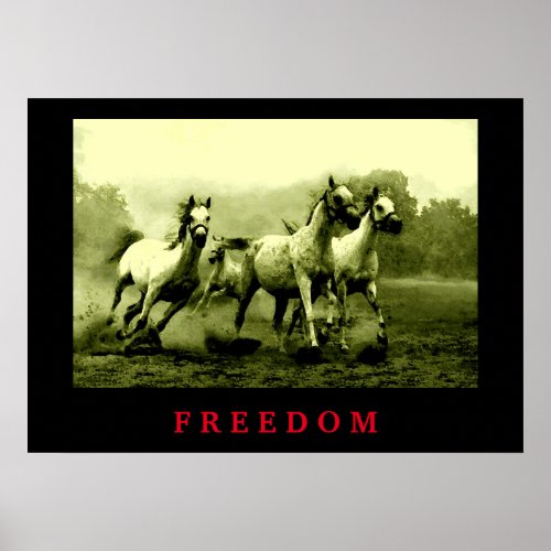 Wild Horses Motivational Freedom Artwork Poster