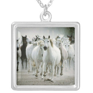 Wild Horses Necklace