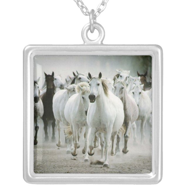 Wild Horses Necklace (Front)