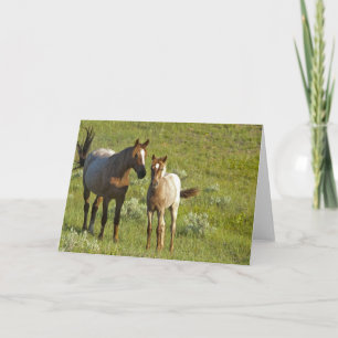 Wild Horses North Dakota Card