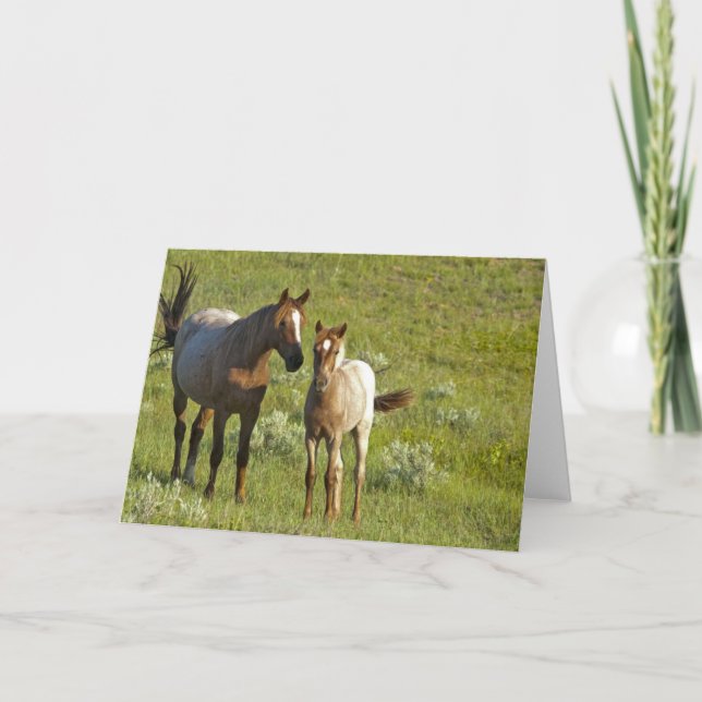 Wild Horses North Dakota Card (Front)