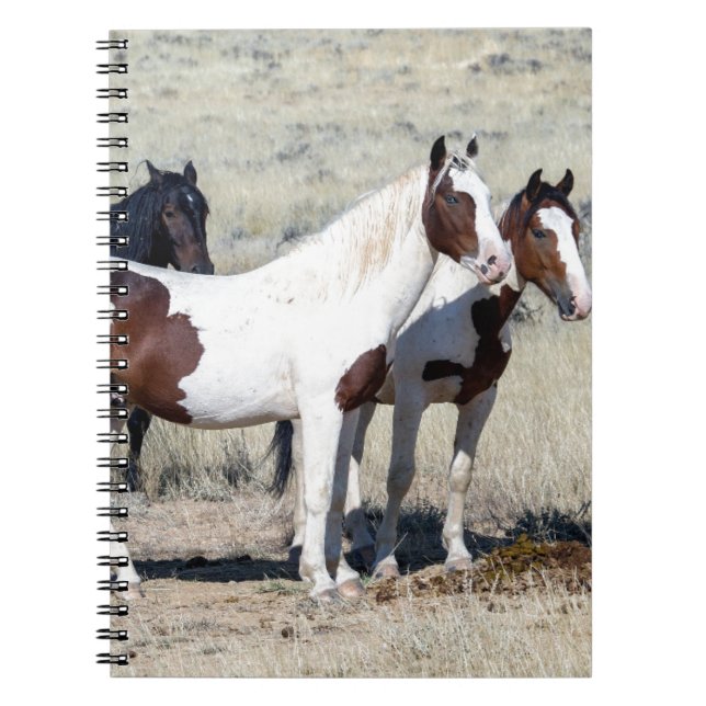 WILD HORSES NOTEBOOK (Front)