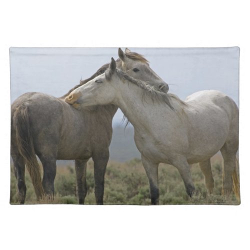 Wild Horses Nuzzling Cloth Placemat