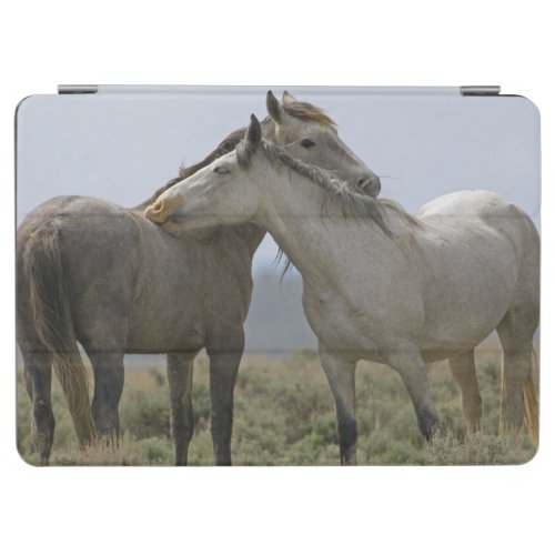 Wild Horses Nuzzling iPad Air Cover