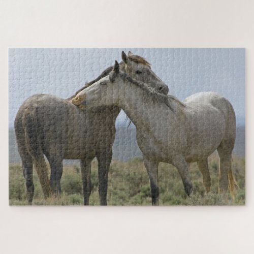 Wild Horses Nuzzling Jigsaw Puzzle