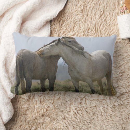 Wild Horses Nuzzling Lumbar Pillow