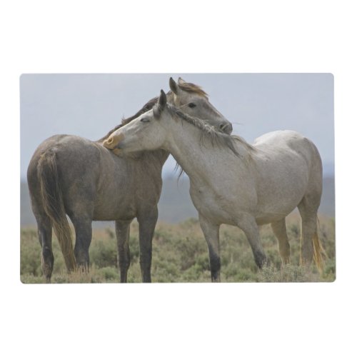 Wild Horses Nuzzling Placemat