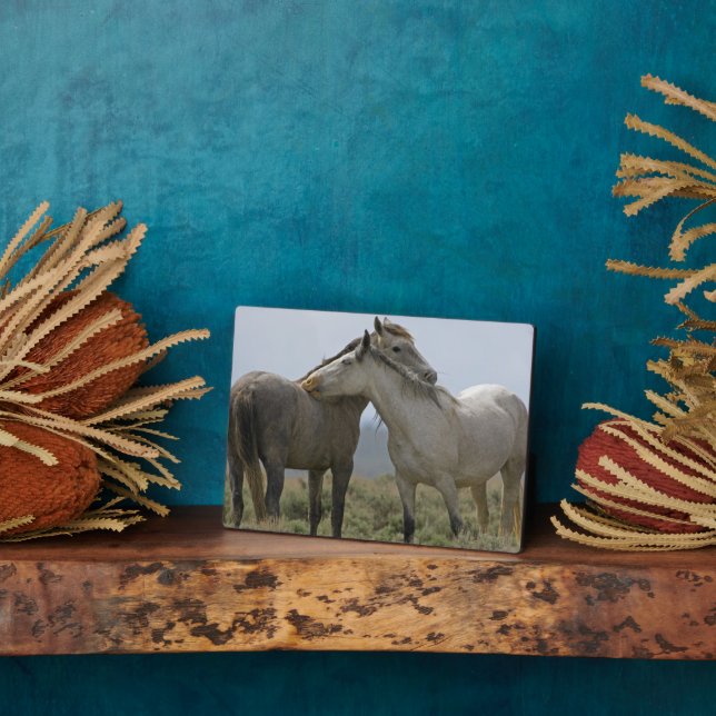 Wild Horses Nuzzling Plaque (Side)