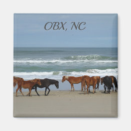 Wild Horses OBX NC Magnet