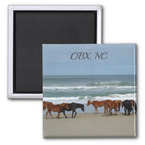 Wild Horses OBX NC Magnet