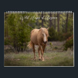Wild Horses of Arizona Calendar<br><div class="desc">"Wild Horses of Arizona" is a beautiful, full-color calendar collection of Salt River and Heber mustangs. Each photograph was carefully selected to reflect the beauty, power, and grace of these national treasures, we want so much to protect. Every month, features a stunning image you will want to save, and it...</div>