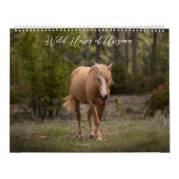 Wild Horses of Arizona Calendar