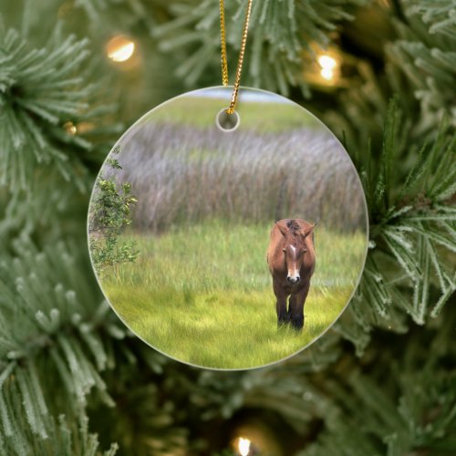 Wild Horses of Assateague Ceramic Ornament