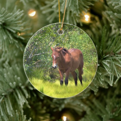 Wild Horses of Assateague Ceramic Ornament