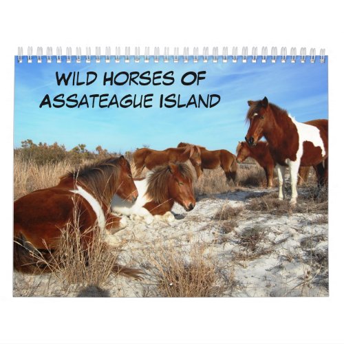 Wild Horses Of Assateague Island Calendar