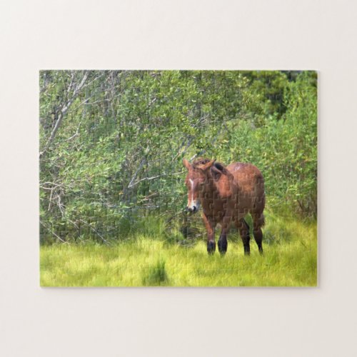 Wild Horses of Assateague Jigsaw Puzzle