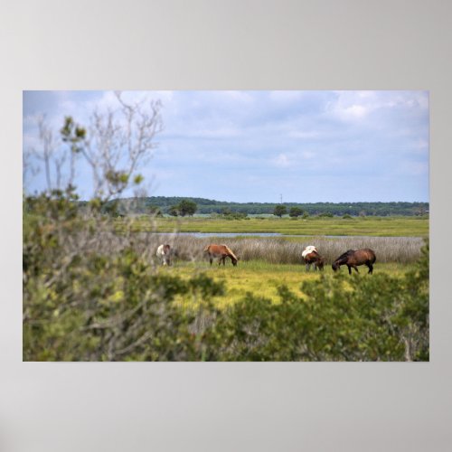 Wild Horses of Assateague  Poster