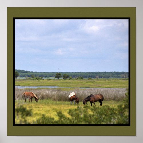 Wild Horses of Assateague  Poster