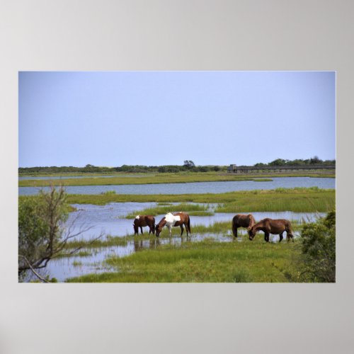 Wild Horses of Assateague  Poster