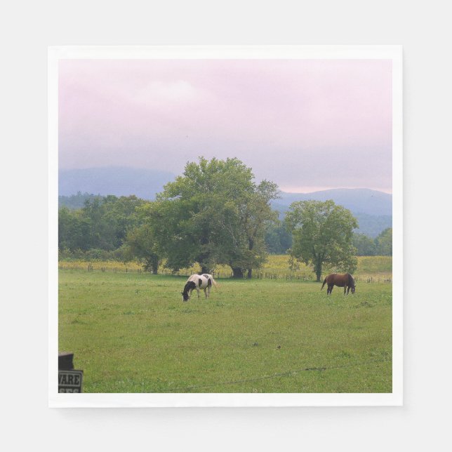 Wild Horses of Cades Cove Napkins (Front)