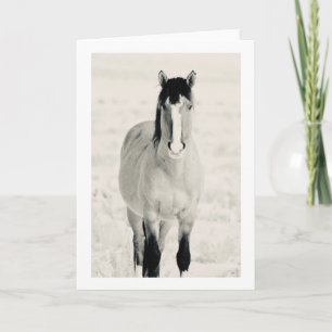 WILD HORSES OF ONAQUI Folded Greeting Card