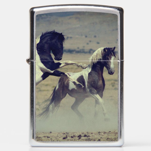 WILD HORSES OF ONAQUI PINTO Zippo Lighter (Front)