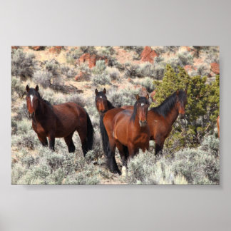 Wild horses of Palomino Valley #6 Poster